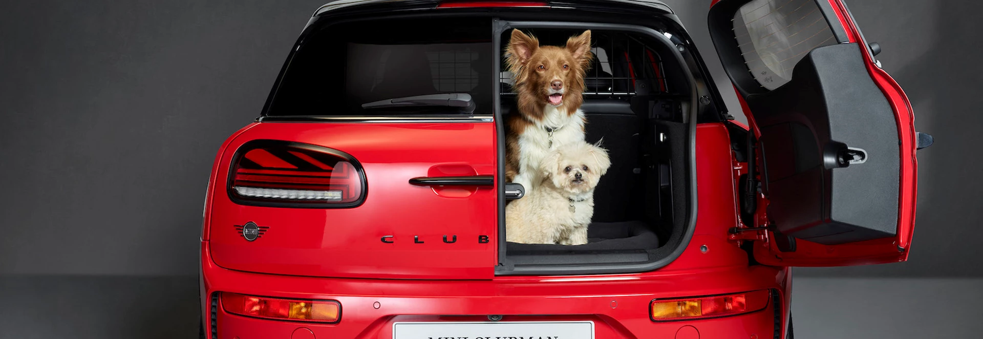 Mini offers top tips for carrying dogs safely in the car 